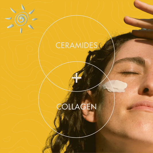Sunscreen SPF 50 PA++++ | With Ceramides & Collagen | Moisturise + Protect | Broad Spectrum | 100ml